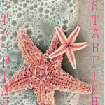 Stxrfish Clothing!