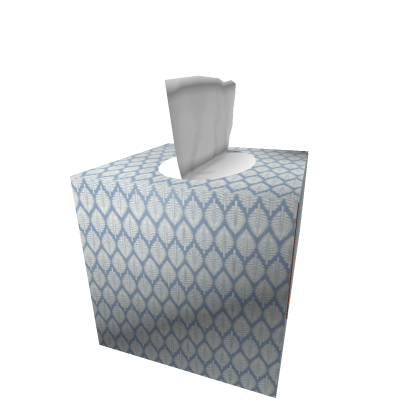 Tissue box (mesh)