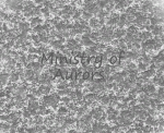 Ministry of Professional Aurors