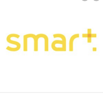 De smarta