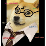 DA WIZARD DOGES