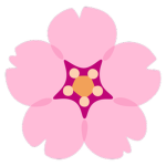 Kyoto Team