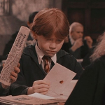 Hogwarts Society