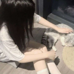 .hikari
