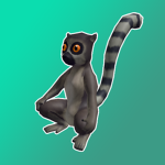 Lemurs Studio