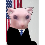 Old Roblox Inc.