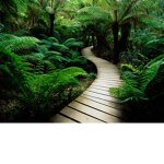 Heiwa Gardens