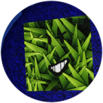Grassy cube