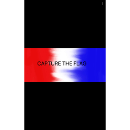 Capture the flag