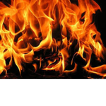 FireBoneTeam