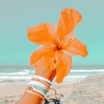 🐠 ˚‧ ɞ
