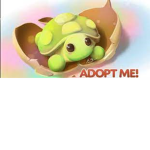 Adopt me turtless!! (Fan of turtles)