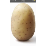 A Patato group