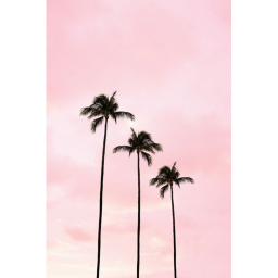 Vibe City