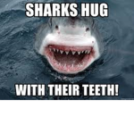 The Meme Sharks