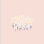 Daisyflower
