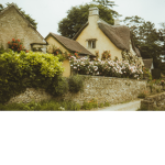 - ~ CottageCore fellows ~ -