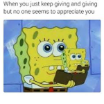 the donate roses