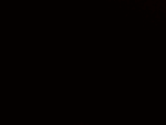 Black Diciplezz