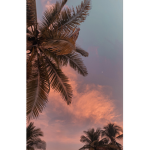 Blooming Trees