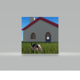 Animal Simulator