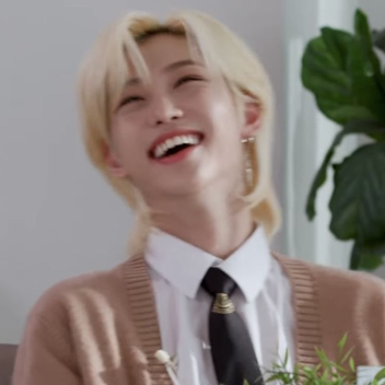 skz felix museum