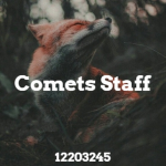 彡Comets Staff彡