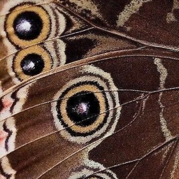 ❀