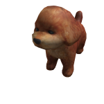Mackenzie's Malibu dog - DRESSX Cuties