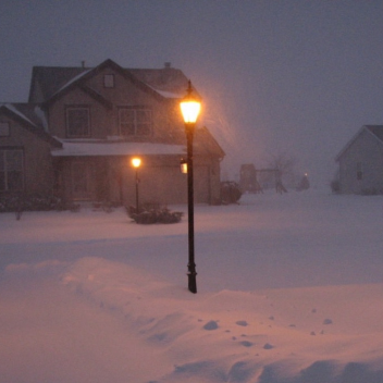 私はグレースが大好き (❁´◡`❁)