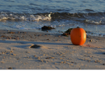 Fallspook