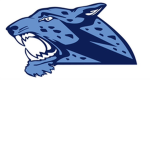 The fresh jaguars