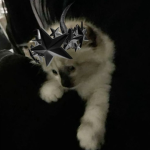 [Content Deleted]ᅠ