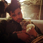 *kissland