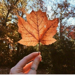The