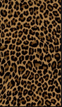 amazing_clothing(UPDATE)