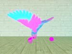 Flock birds