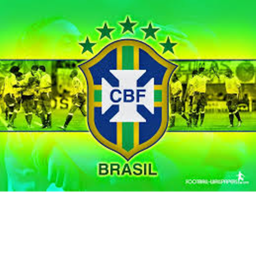 Brazil Pitch