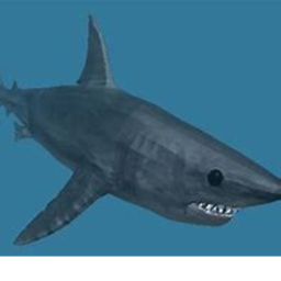 Shark simulator! [BETA]
