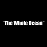 The Whole Ocean Clothing Co.