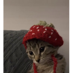 strawberrywhiskers