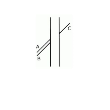 be a mom dad sister or brother!