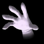 The hands family.