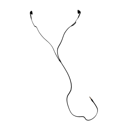 Black Earbuds