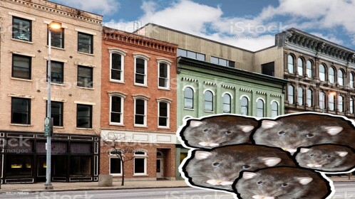 Rat Town