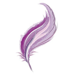 Feathered Over Studios