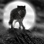 moon wolves at midnight