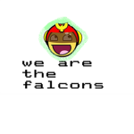 Falcon stealth team