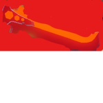 CLAN XF