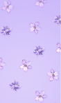 Lavender Pookies